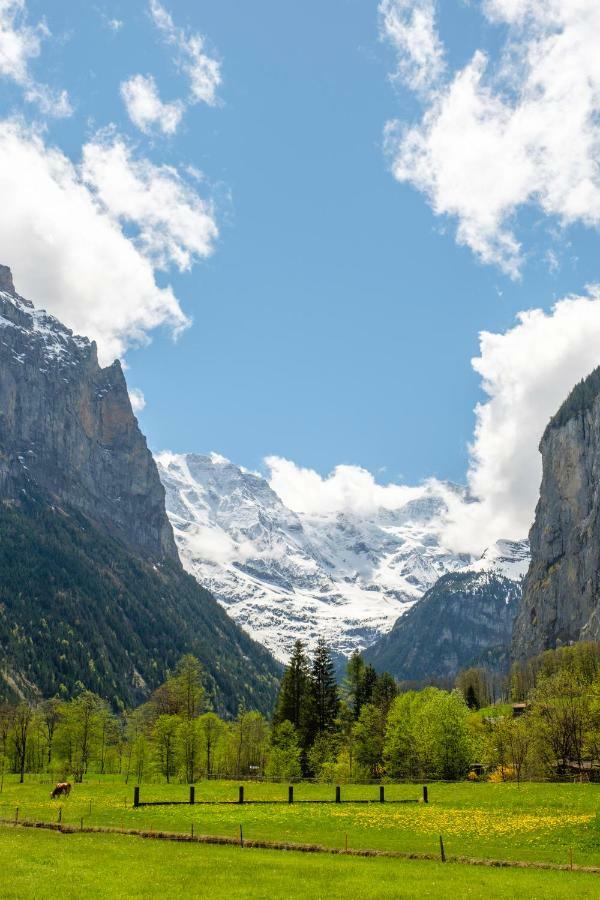 Hafod a Hendre Lejlighed Lauterbrunnen Eksteriør billede