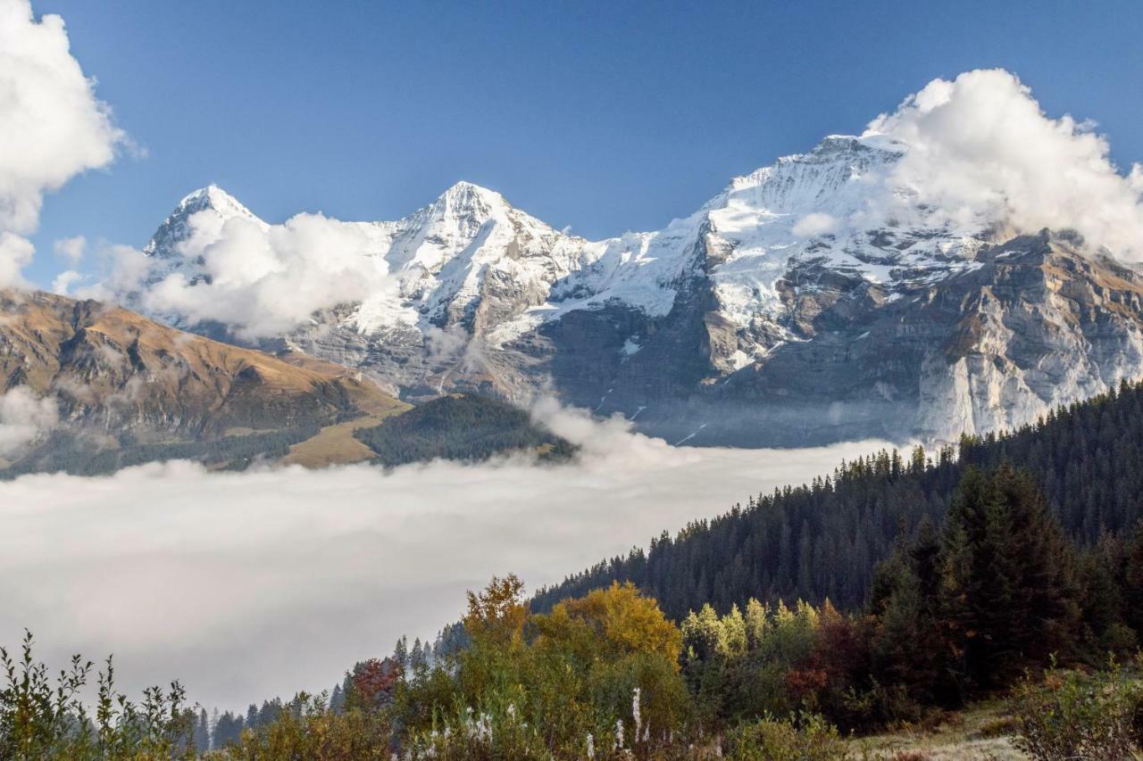 Hafod a Hendre Lejlighed Lauterbrunnen Eksteriør billede