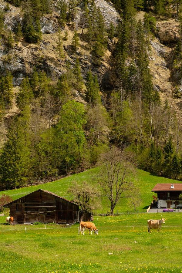 Hafod a Hendre Lejlighed Lauterbrunnen Eksteriør billede
